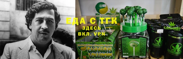 альфа пвп Заводоуковск