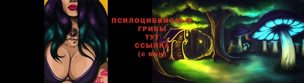 альфа пвп Заводоуковск
