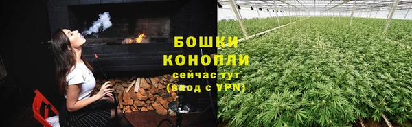 PSILOCYBIN Заволжье
