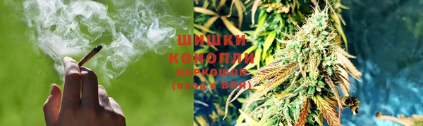 PSILOCYBIN Заволжье