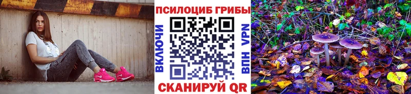 Купить закладки  Николаевск  Псилоцибиновые грибы Cubensis 